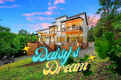 Daisy's Dream