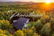 Pinesthesia
