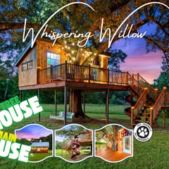 Whispering Willow
