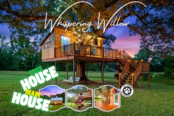 Whispering Willow
