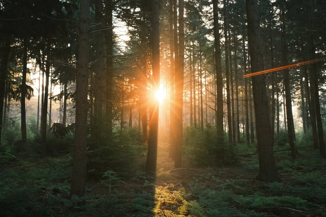 Ultimate Guide to Visiting Broken Bow, Oklahoma