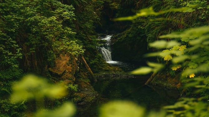 Top Hidden Gems!